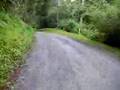 videos de Motor Bike trip from Goonengerry to Wilsons Creek