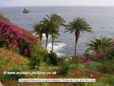 Madeira - Coastal Views
