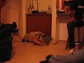 Angie & Bevo Playing