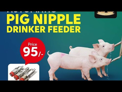 Bethlehem Farm Accessories