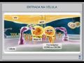 Aula Liã (Parte1)