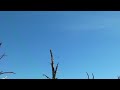 SANY0012.MP4