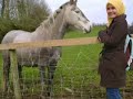 saje nak share gamba2 yg telah dicaptured sepanjang berada di bumi Ireland nii...nice place i should say..;) background song; Kembara Ilmu by Suhaimi...enjoy!