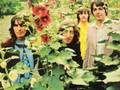 The Beatles - Candlestick Park - Part 2