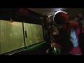 MISTY'S BIG ADVENTURE - OUTTAKE FROM 'HEY MAN'