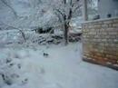 Tig snow margakiot 310108