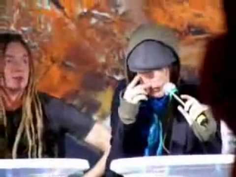 ville valo