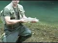 Fly Fishing Pescando sul Nera parte 3