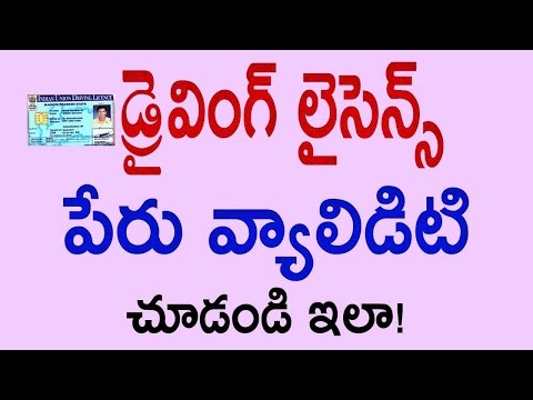 how to check dl status online in india