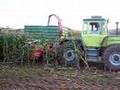 MB-Trac more Corn Cutting / Maissilo