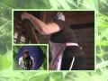 Jack Van Raamsdonk We Hebben Een Wiethok Official Music Video and Lyrics