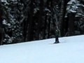 MVI_2703.AVI:YouTube������=0��