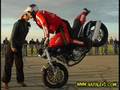CELLAT60 BATAK60