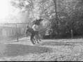 hassannovic kurtovic