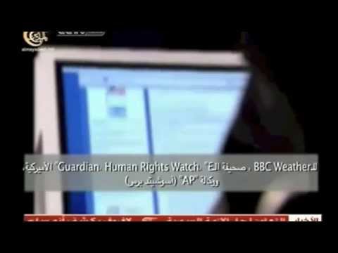 Interview With The Syrian Electronic Army