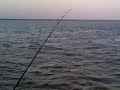 pesca de dorado con cuchara en termas de rio hondo
