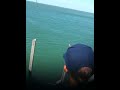 20kg+.kingfish.  Cornwallis. Westcoast
