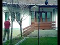 pellumbat tauben die beste raze pellumbat tauben die beste raze