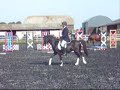 Nebo Stripe at show 2