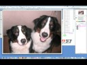 PhotoshopCS3 ???????