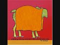 opposite day - Andrew Bird