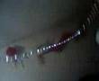 videos de Silvester