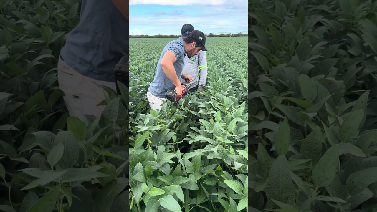 Furadeira ângulo reto BRSense