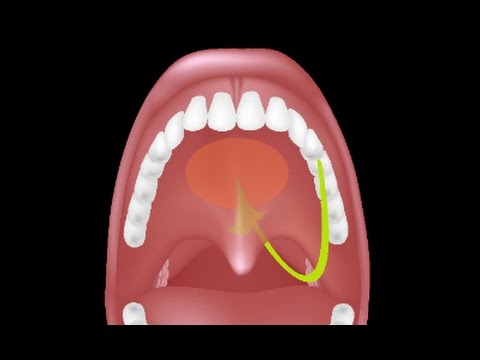 how to drain adenoids