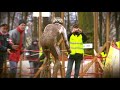 Wereldkampioenschap Cyclo-cross 2007 - 27 & 28 januari - Wereldkampioenschap Cyclo-cross 2007 - 27 & 28 januari -