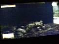 videos de Metal Gear Solid 4 Test