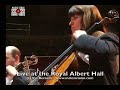 they play l. subramaniam's double concerto for two violins.  london philharmonic orchestra conducted by maestro daniel nazareth.  recorded live at the royal albert hall in 1995. www.indianviolin.com - (c) viji records