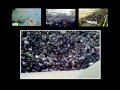 با شانزده آذر، انقلاب گام بلندی به پيش برداشت .wmv