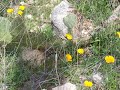 Romaro Pools Hike, Tuson