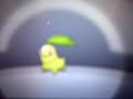 Shiny Totodile Pokemon HeartGold