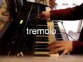 Roland VR-760 Piano Mark 2