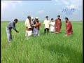 Kalpana - Bhatar Leke Alga Rahi