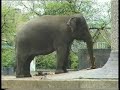 Tu?ne o?i ZOO 1/2 Tu?ne o?i ZOO 1/2