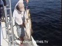 Catfish eating Snook! HD Chew On This