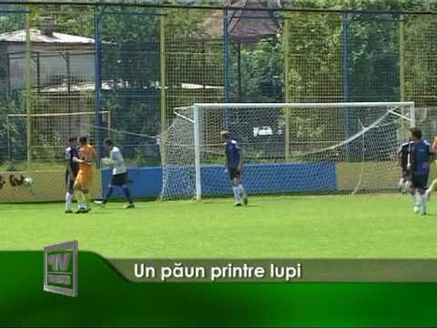 Un păun printre lupi