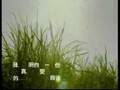 Tian Tian Ye Ye