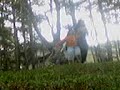 baguio trip of putiki and pakers