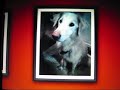 In Memory Of 