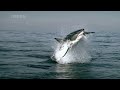 Air Jaws Super Slow
