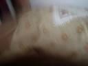 MOV05774.MPG