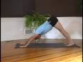 John Schumacher Teaches Adho Mukha Svanasana