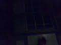 mOtOrOla NuNkA Te fAlLA ..JejE