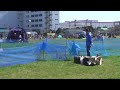 Click here to watch this video IGLEルアーコーシング・オーバルコース