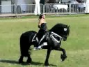 eurocheval 2008