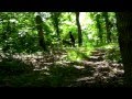 The Slender Man Tapes-- Part 1