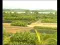Madagascar, Island of opportunities by EDBM